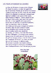 LES FIGUES DE BARBARIE OU CHUMBOS